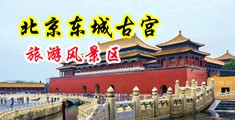 农民工大鸡巴插逼中国北京-东城古宫旅游风景区